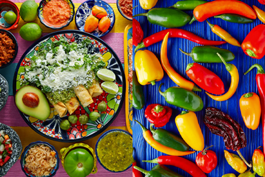 Validación del universo cromático: Comparativa entre la viveza de la gastronomía mexicana (chiles, aguacate, enchiladas) y la selección de colores estratégicos para la marca La Mestiza.