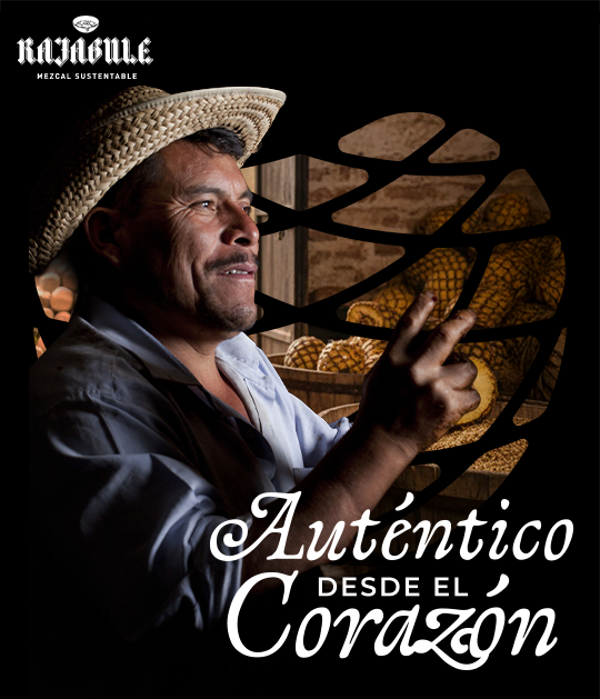 Validación del Manifiesto de Marca: Fotografía de proceso artesanal de jima de agave para Mezcal Rajabule con superposición de texto 'Auténtico desde el Corazón'.