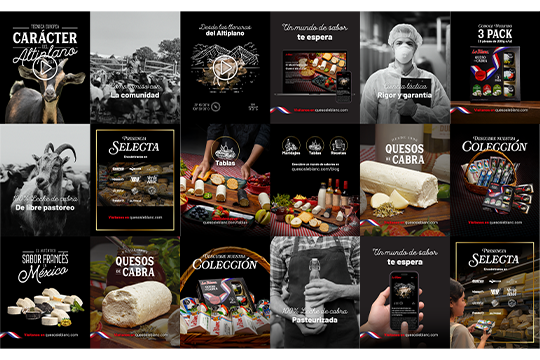 Lineamientos de Ecosistema Social: Matriz de contenido sistémico para Instagram que unifica la producción visual, la identidad de marca y los mensajes estratégicos de Quesos La Blanc.