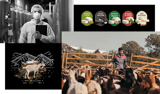 Detalle de interfaz UI Quesos La Blanc: Uso de tipografía de autoría y jerarquía visual para la presentación de variedades de producto premium.